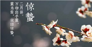 明日驚蟄，素貓素食送大家一份帶著春光的食物清單~