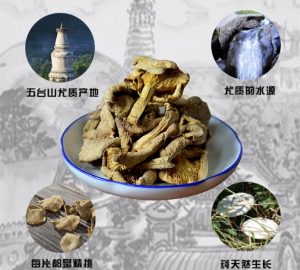 素貓私廚臺(tái)蘑菌肴|被稱為五臺(tái)山一絕的它，來(lái)頭居然這么大！