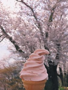 火遍長洲島的素貓櫻花味豆?jié){冰淇淋！花香味與豆?jié){味完美融合，感覺一口吃掉了整個春天